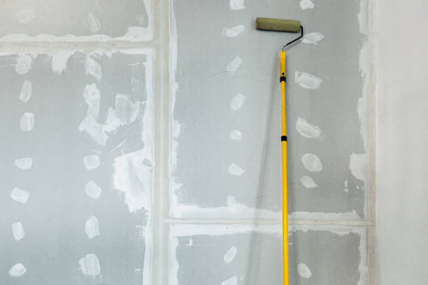 Best Custom Drywall Patching  in USA