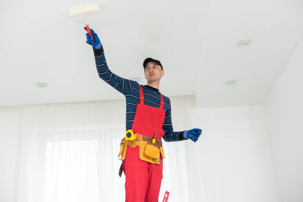 Best Commercial Drywall Repair  in USA